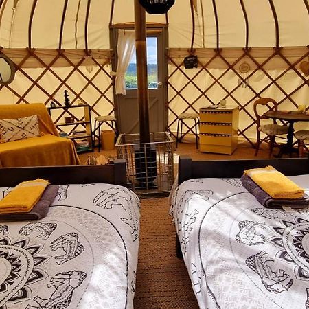 Bronfelen Yurt Hotell Cynghordy Eksteriør bilde